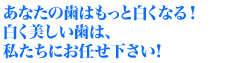 もっと白くなる