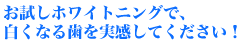お試し